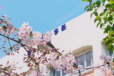 小学生にとって掛け算は最大の山場！つまずかないために出来る事